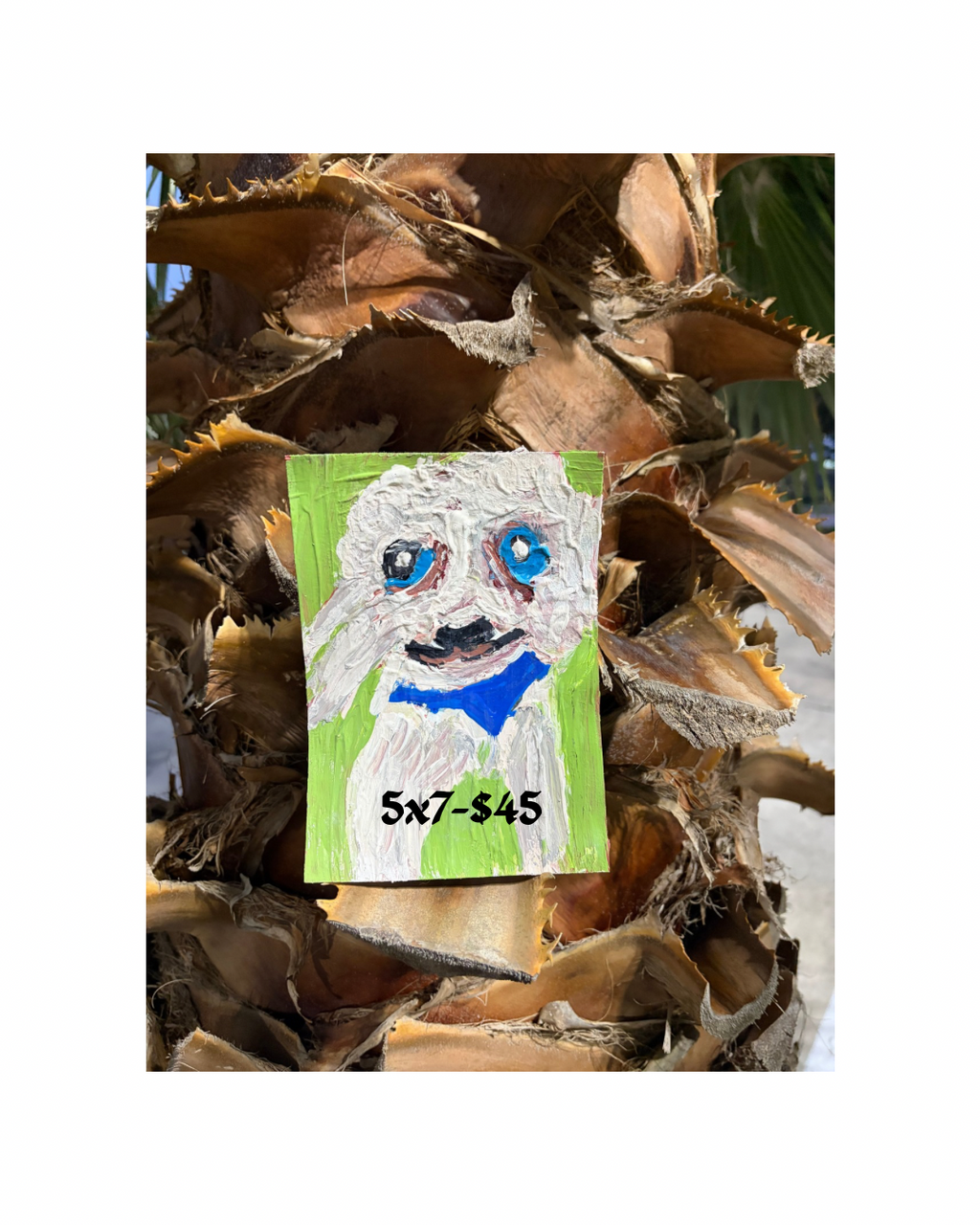 Pet Portrait Commisions
