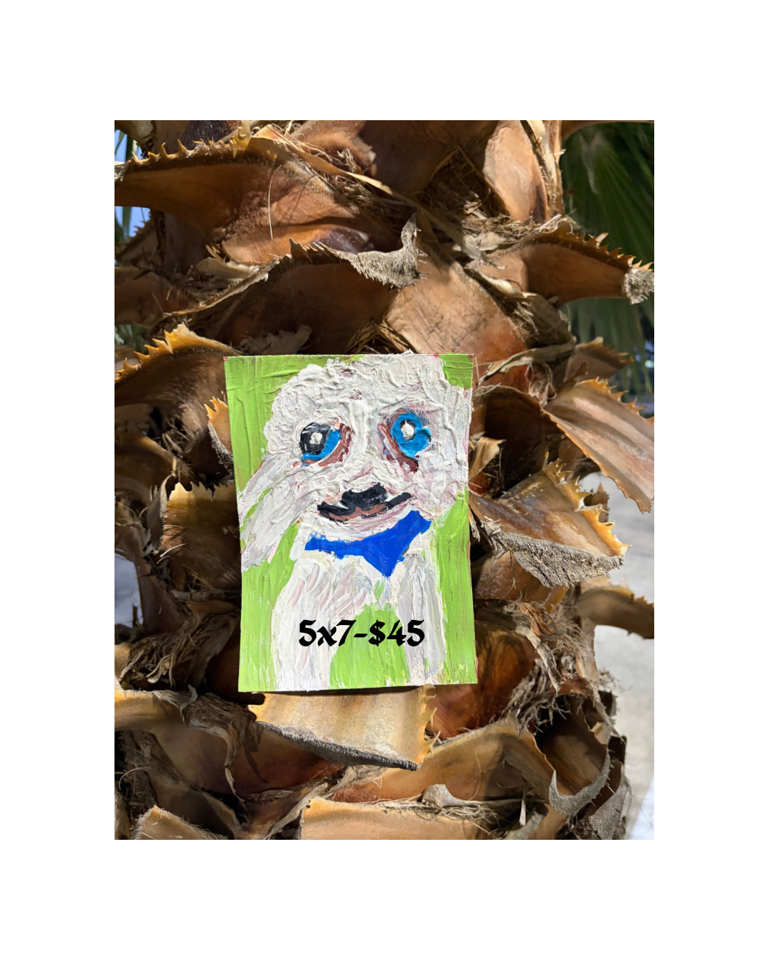 Pet Portrait Commisions