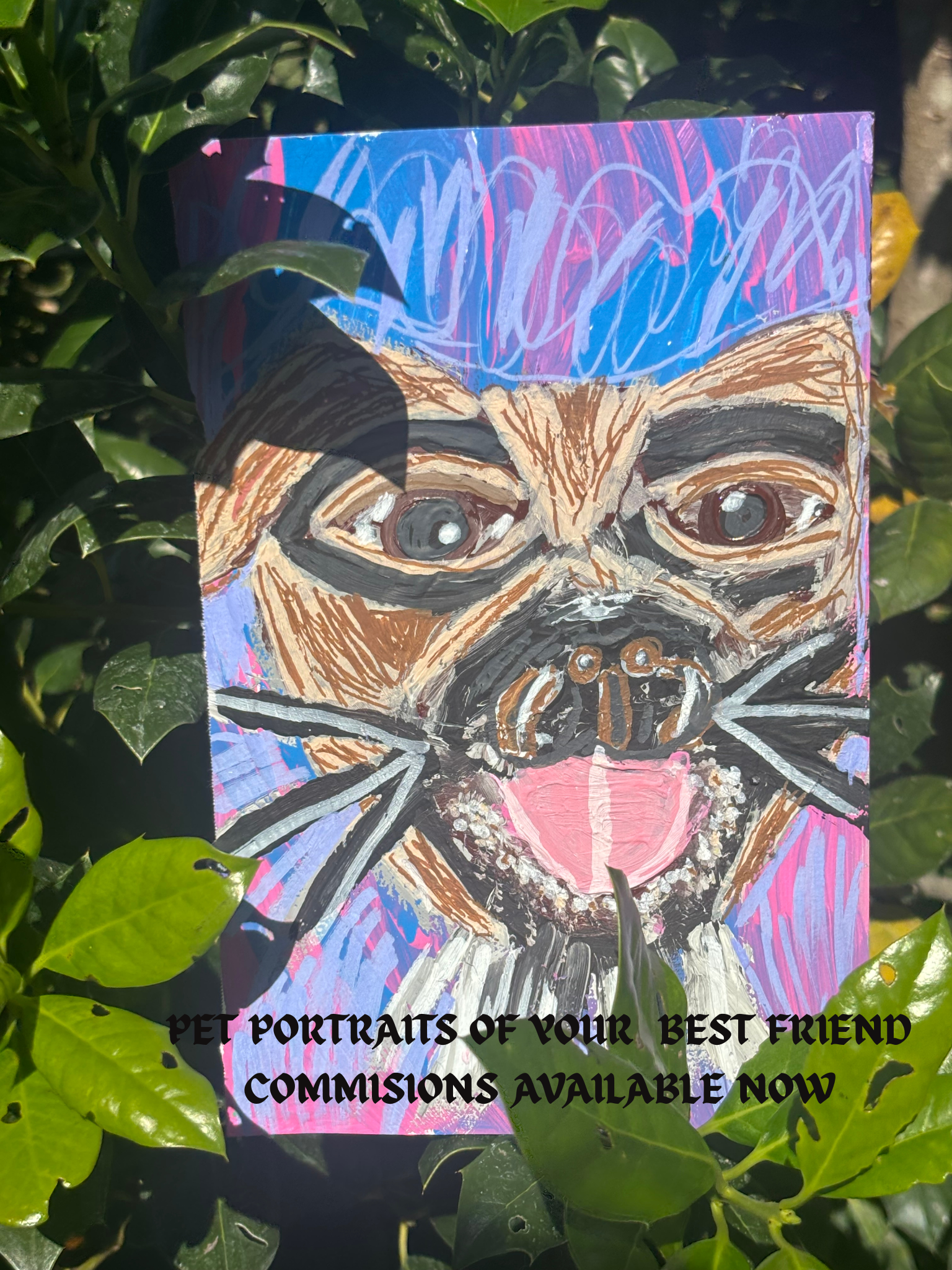 Pet Portrait Commisions